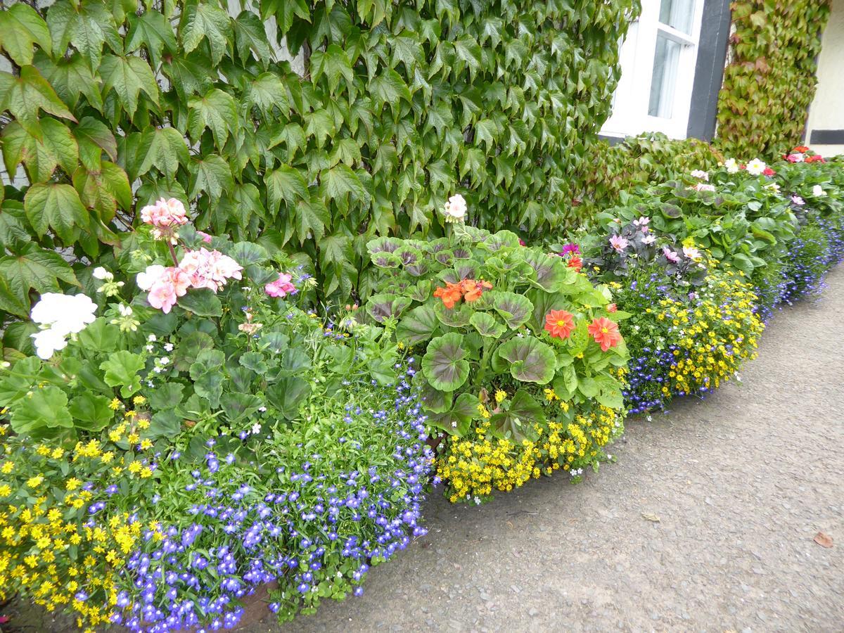 Marykirk Hotel Eksteriør bilde